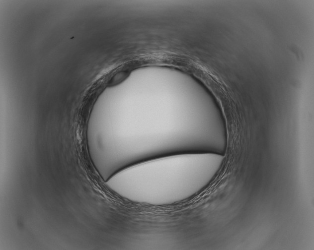 X0000112431206200908141104