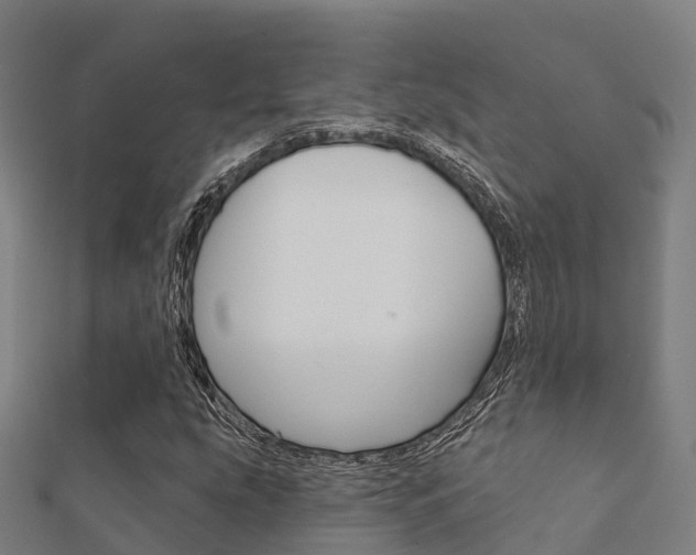 X0000112431207200908141104