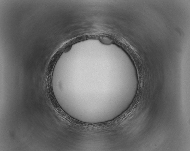X0000112431208200908141104