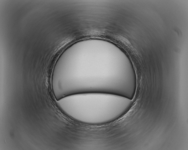 X0000112431209200908141104