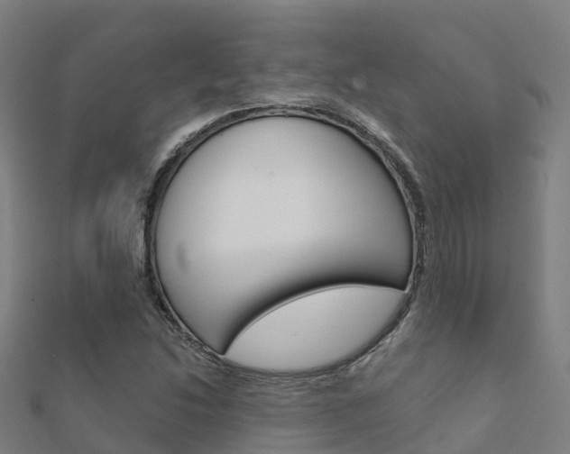 X0000112431214200908141104