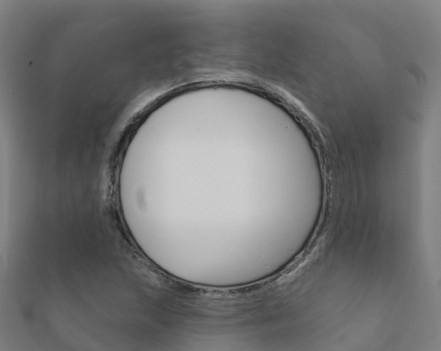 X0000112431215200908141104
