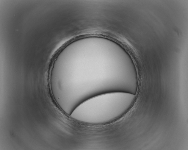 X0000112431216200908141104