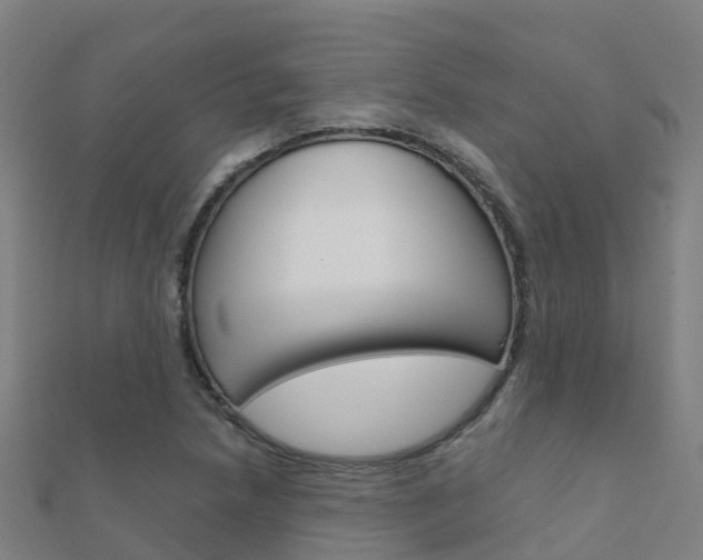 X0000112431218200908141104