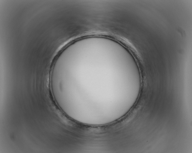 X0000112431220200908141104