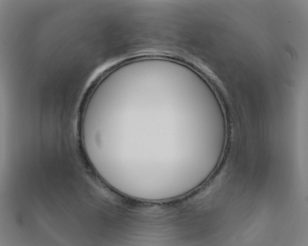 X0000112431222200908141104
