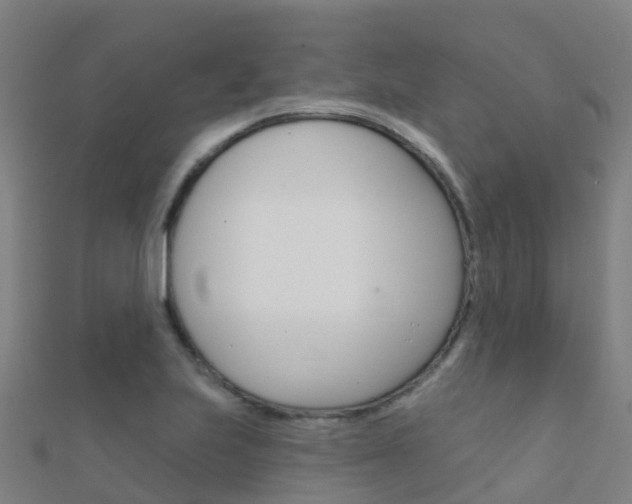 X0000112431223200908141104