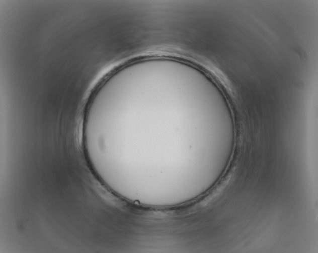 X0000112431224200908141104