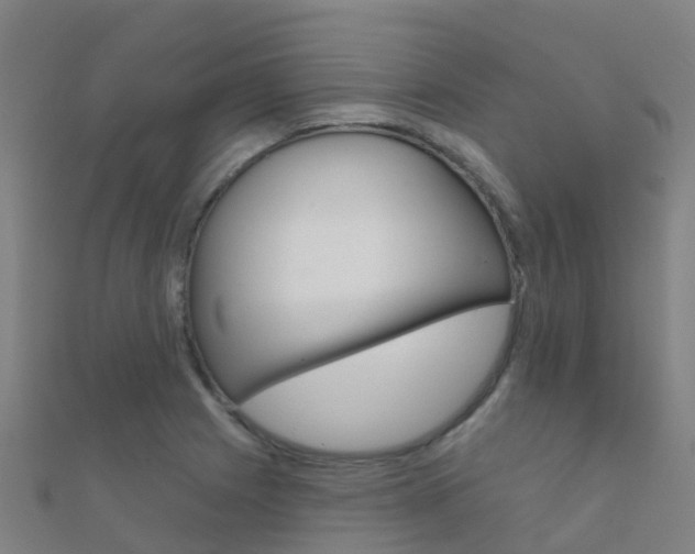 X0000112431225200908141104