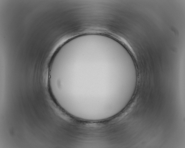 X0000112431227200908141104