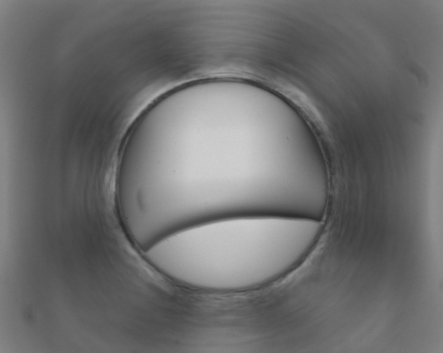 X0000112431228200908141104