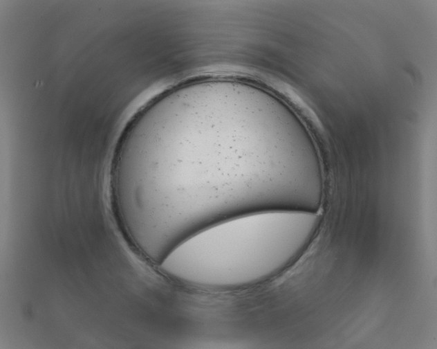 X0000112431229200908141104