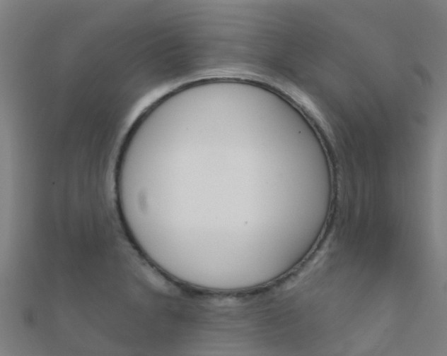 X0000112431230200908141104