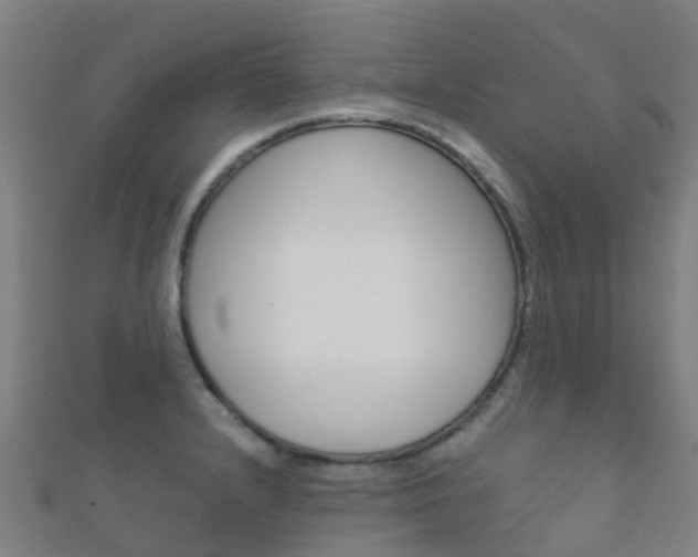 X0000112431232200908141104