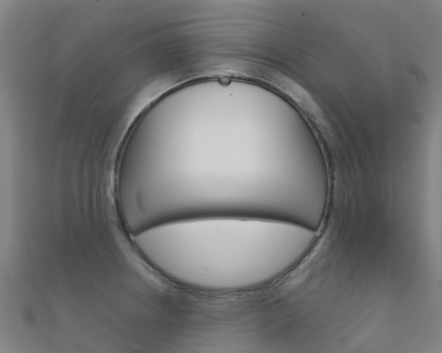 X0000112431234200908141104