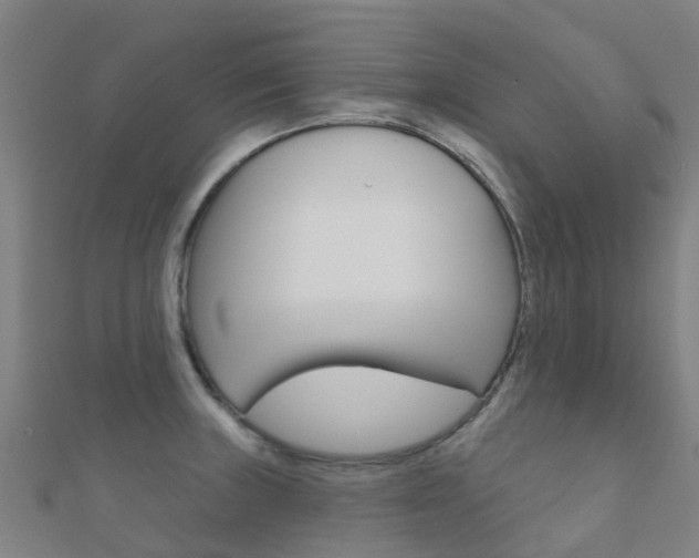 X0000112431235200908141104