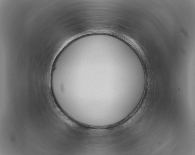 X0000112431236200908141104