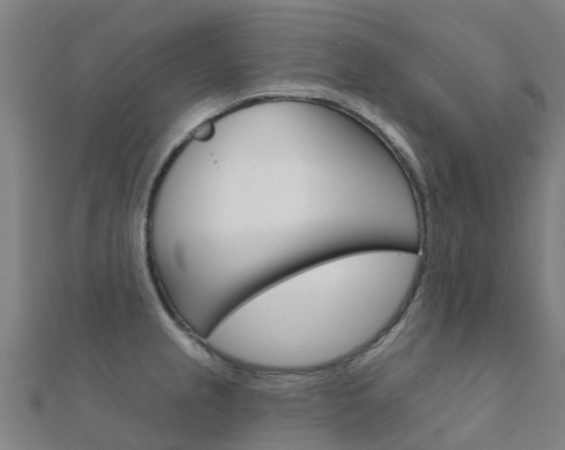 X0000112431237200908141104