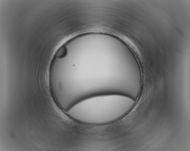X0000112431238200908141104