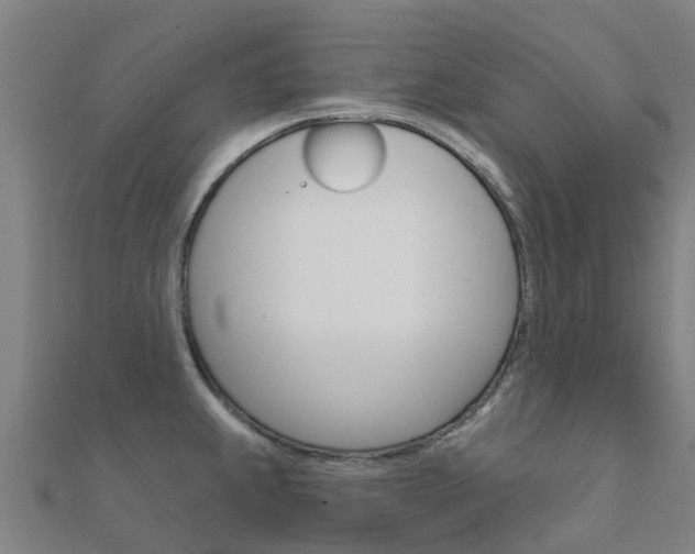 X0000112431239200908141104