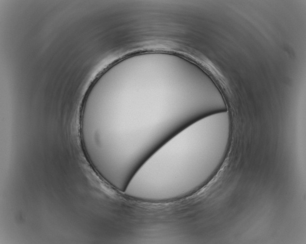X0000112431240200908141104