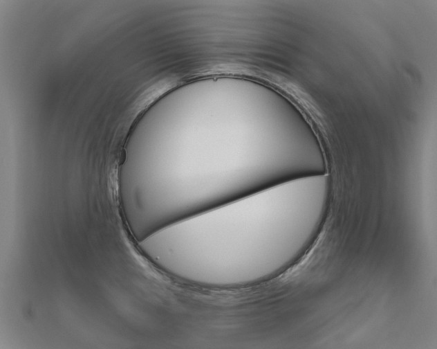 X0000112431241200908141104