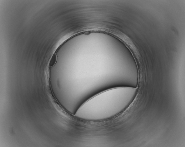 X0000112431242200908141104