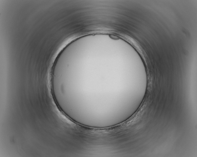 X0000112431243200908141104