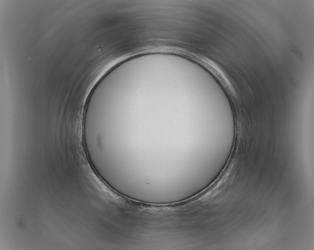 X0000112431244200908141104