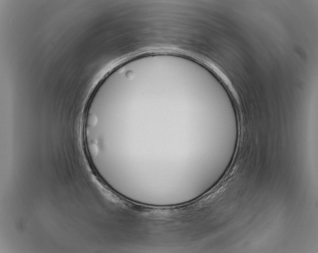 X0000112431245200908141104