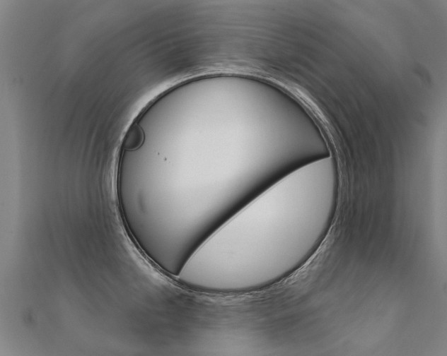 X0000112431246200908141104