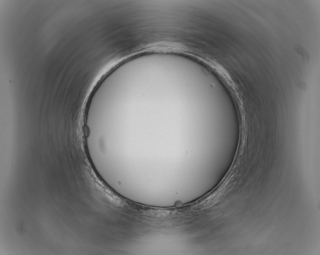 X0000112431248200908141104