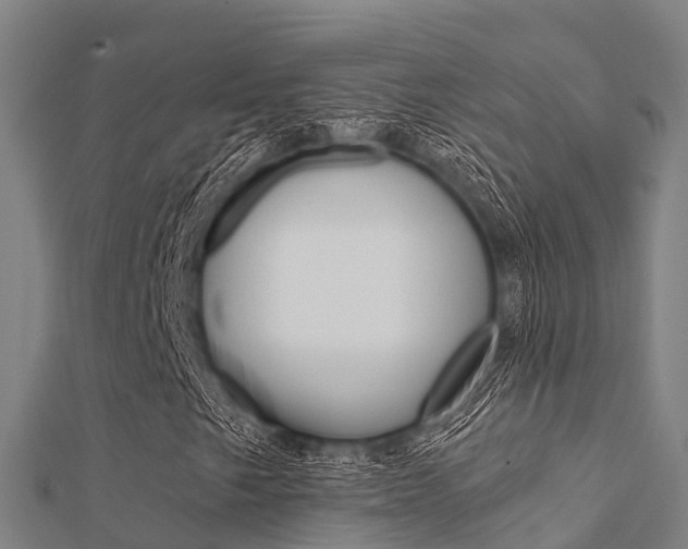 X0000112431249200908141104