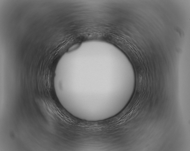 X0000112431250200908141104