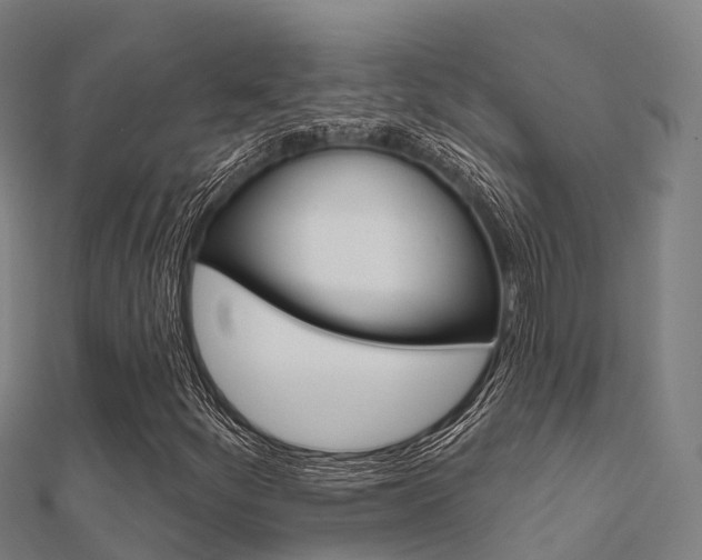 X0000112431252200908141103