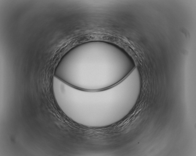 X0000112431253200908141103