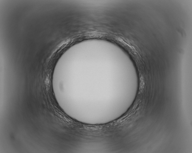 X0000112431254200908141103