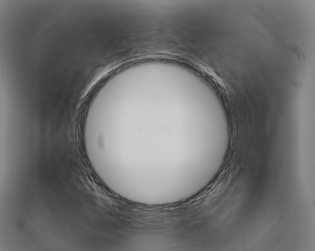 X0000112431256200908141103