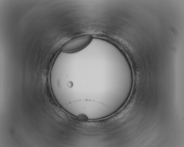 X0000112431257200908141103
