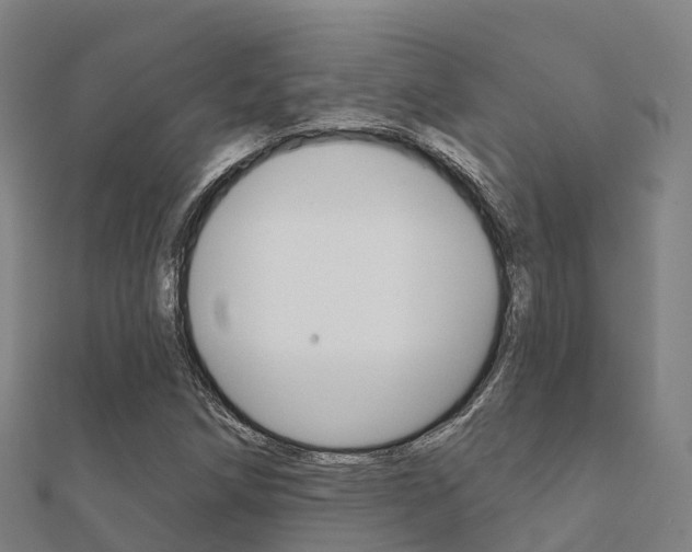 X0000112431258200908141103