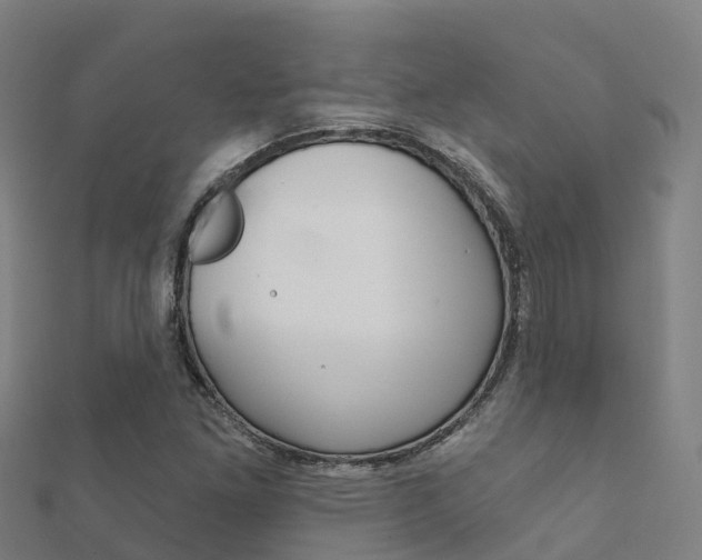 X0000112431261200908141103