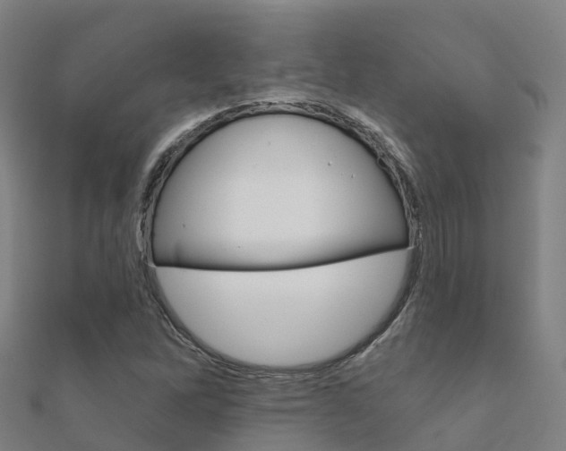 X0000112431262200908141103