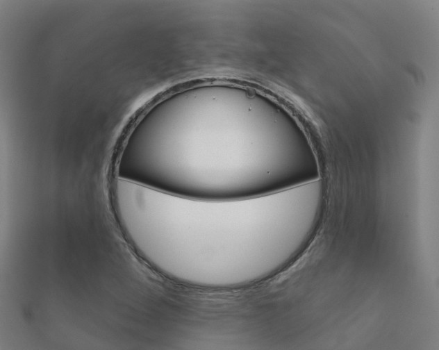 X0000112431264200908141103