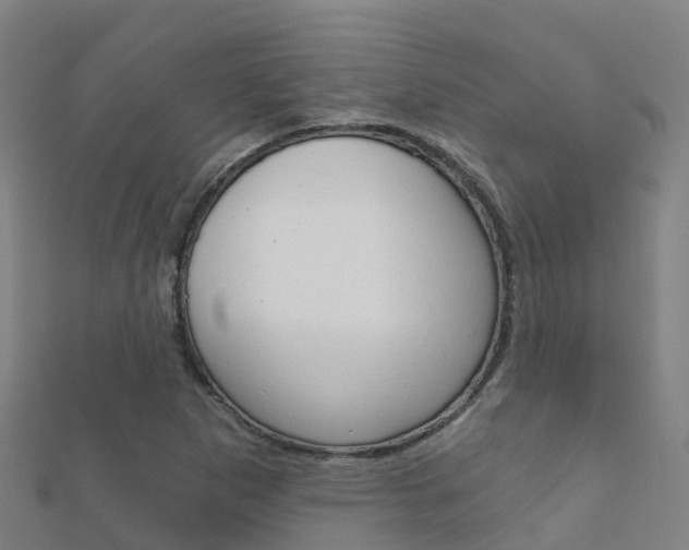 X0000112431265200908141103