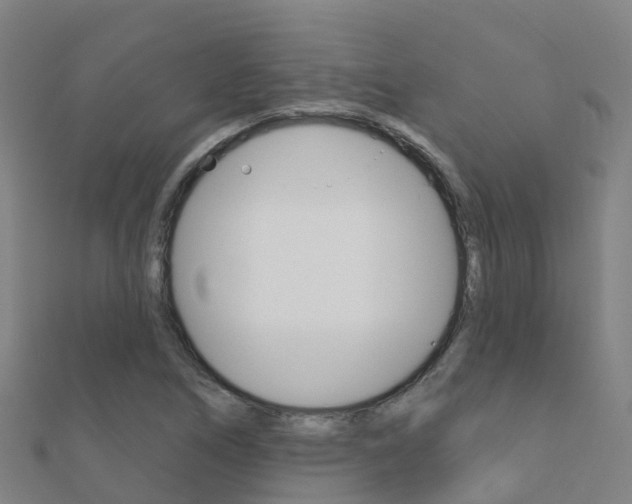 X0000112431266200908141103