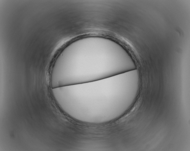 X0000112431267200908141103