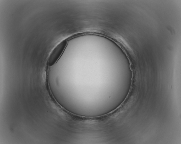 X0000112431268200908141103
