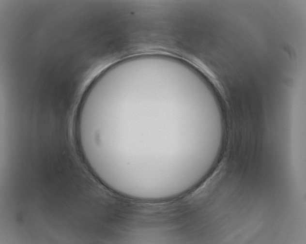 X0000112431269200908141103