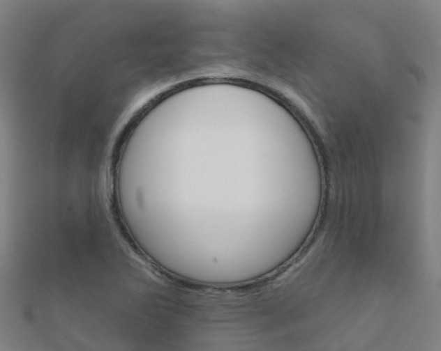 X0000112431270200908141103