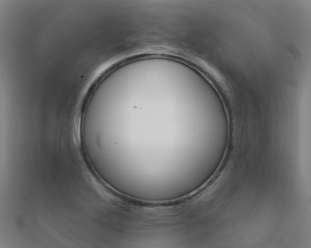 X0000112431272200908141103